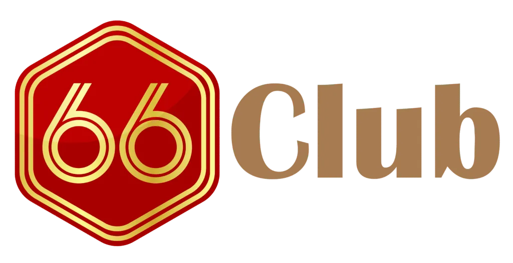 66b web